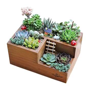 木箱　多肉植物に 30cm x 20cm x 5cm　11個セット 木箱 多肉植物に 30cm x 20cm x 5cm 11個セット - メルカリ